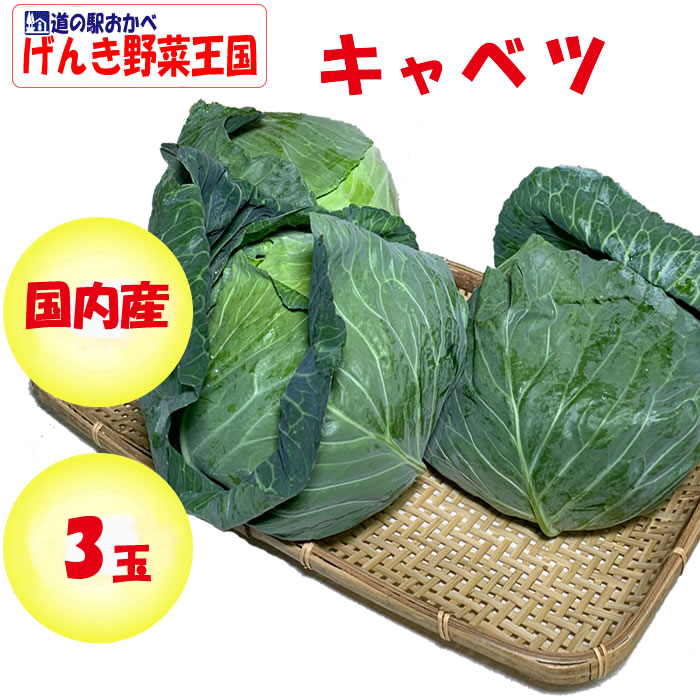 キャベツ ３玉 Lサイズ／3.6～4.5kg>
<br>

<img src=