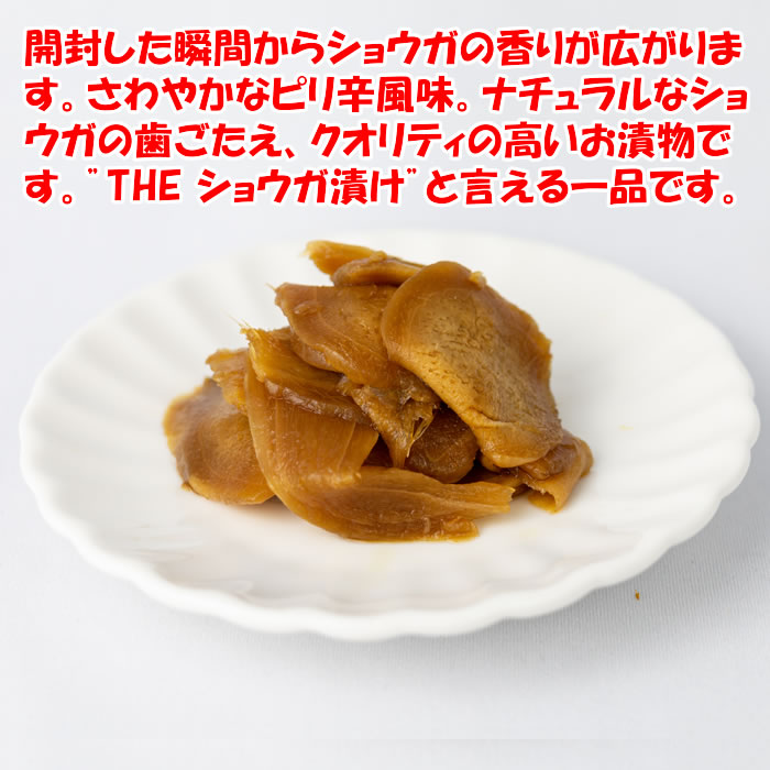 盛り付け例