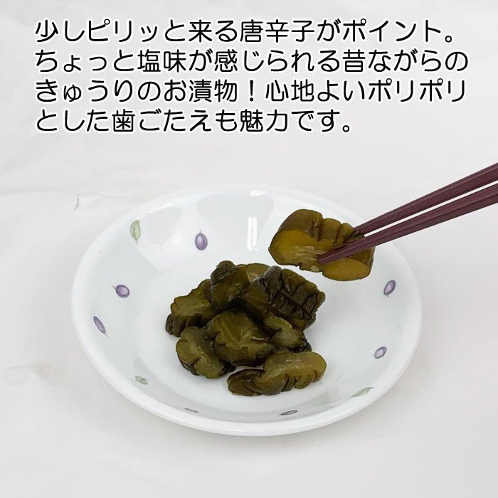 お茶うけきゅうり 250g マルシ食品 埼玉県深谷市 送料別 Bs お茶うけきゅうり 250g マルシ食品 埼玉県深谷市 送料別 Bs