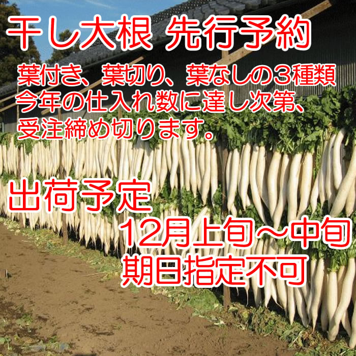 干し大根販売 12月出荷予定