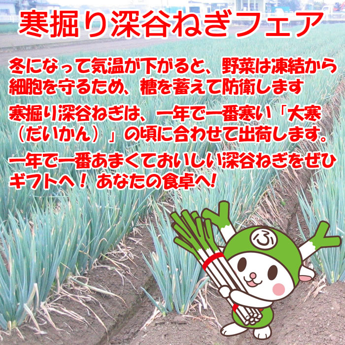 寒掘り深谷ねぎフェアとは?