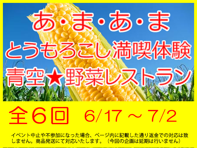 とうもろこし満喫体験