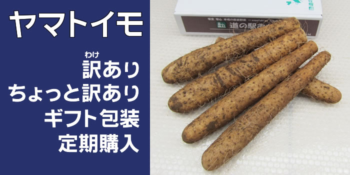 ヤマトイモ