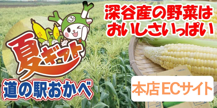 夏ギフト：とうもろこし
