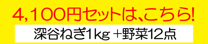 4100円はこちら