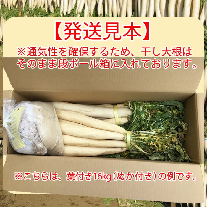 発送見本
