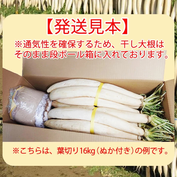 発送見本